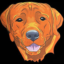 partenaire flechette